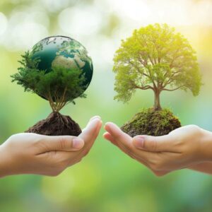 alimenation bio import écologie