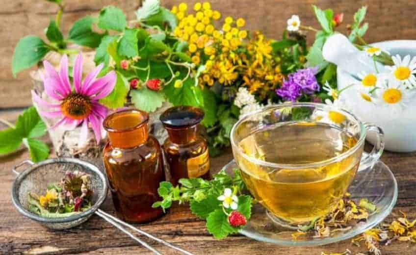 psoriasis naturopathie plantes