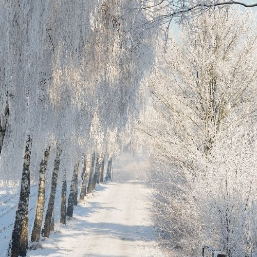 protéger sa peau en cas d'eczéma l'hiver