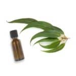 huile essentielle d'eucalyptus pour purifier le cuir chevelu
