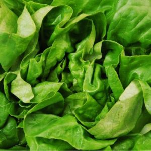 Malbouffe et acné : pensons salade !