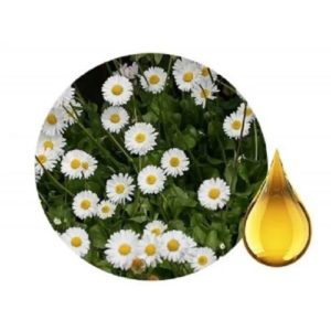 huile de pâquerette pour l'eczéma