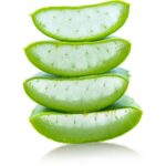 Plante Aloe Vera réduit les irritations et plaques rouges