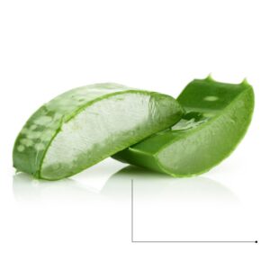 aloe vera coupé