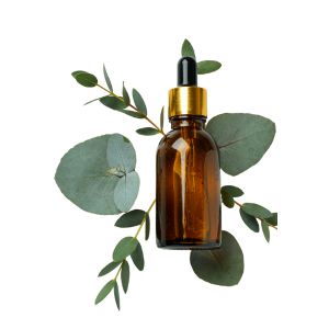 Huile essentielle d'Eucalyptus