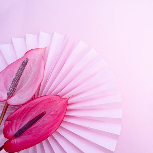 menopause et acné informations