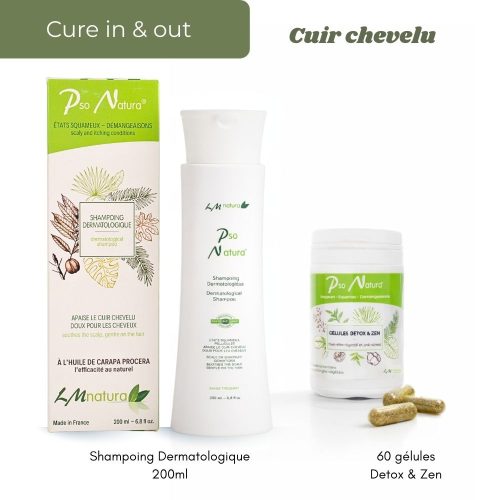 pack cure complète cheveux in & out psoriasis eczéma