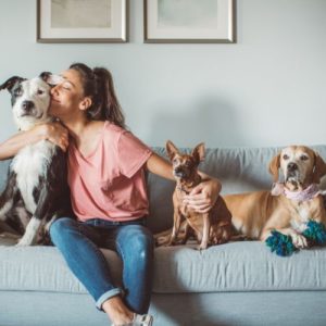 animaux eczema allergie